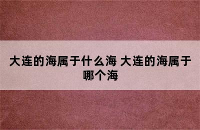 大连的海属于什么海 大连的海属于哪个海